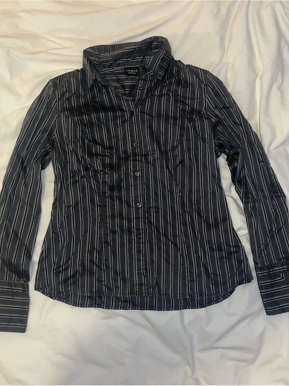 Black Stripe Button-Down Fitted Shirt